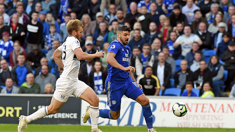 Cardiff vs Fulham Prediction